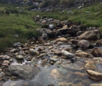 thumb from Climbing the Reek