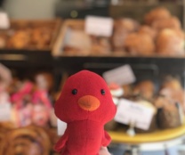 thumb from Baboró is Gourmet Tart Co.’s Official Charity Partner for July