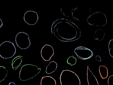 Stop Motion Animation
