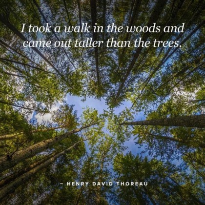 Thoreau