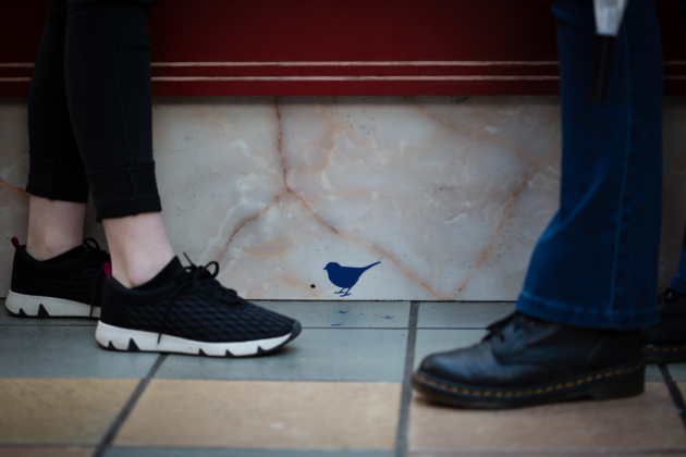 004 Wide Eyes 2018 Anita Murphy