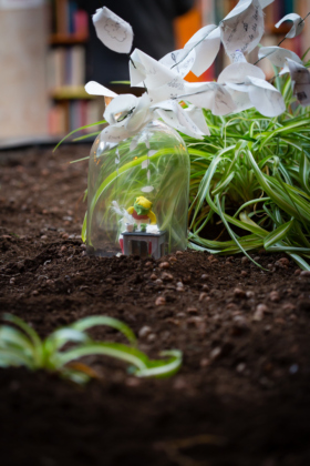 005 Wide Eyes 2018 Anita Murphy